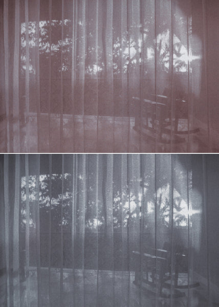 Chrysotype Prints with Christina Z Anderson