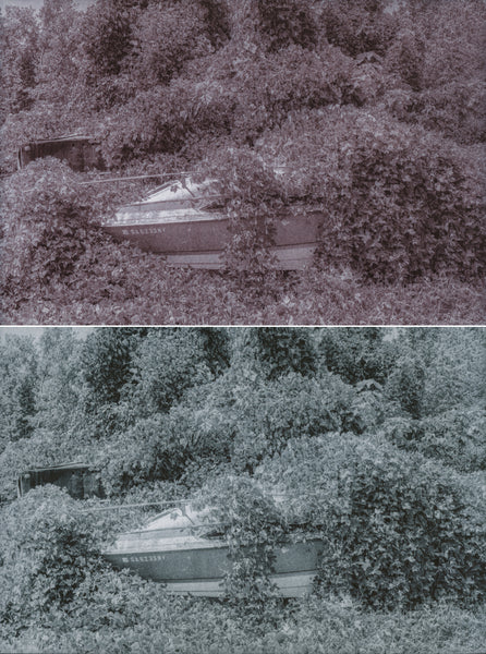 Chrysotype Prints with Christina Z Anderson