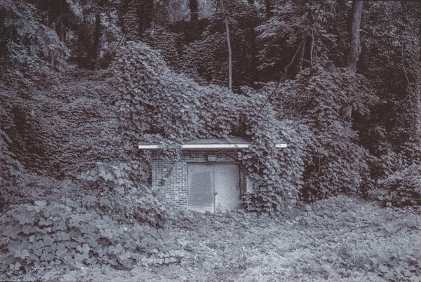 Chrysotype Prints with Christina Z Anderson