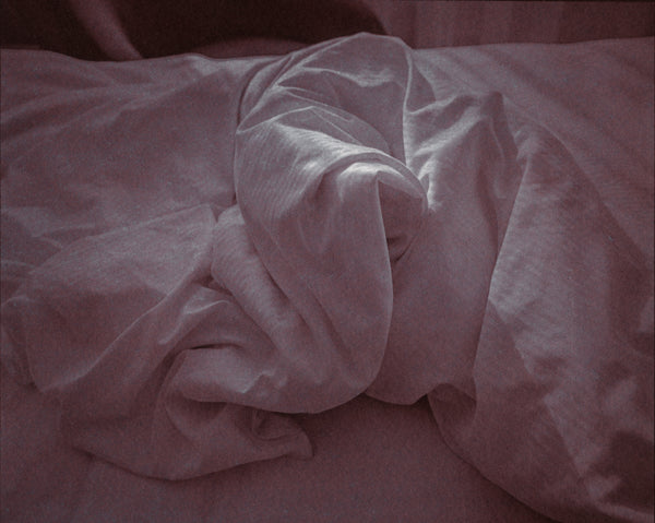 Chrysotype Prints with Christina Z Anderson