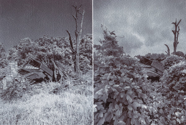 Chrysotype Prints with Christina Z Anderson