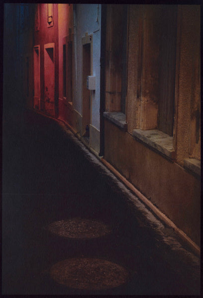 Full color gum over palladium printmaking Mar 12-15