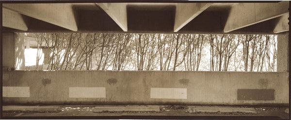 Advanced Palladium with Clay Harmon Apr 16-19, 2026